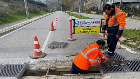 Büyükşehir’den etkin mücadele