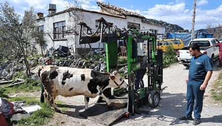 Büyükşehir’den Gündoğmuşlu üreticilere tırnak bakım desteği