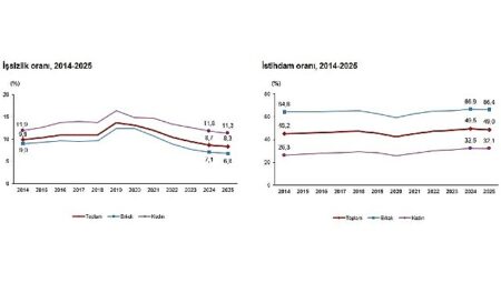 İşgücü İstatistikleri, 2025