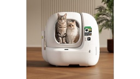 Kedilerin Gizli Dünyasına Yapay Zeka Merceği: Hastalıklar Artık Saklanamıyor