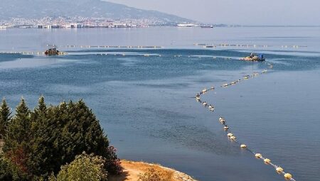 Körfezdeki dev temizlik dünya gündeminde