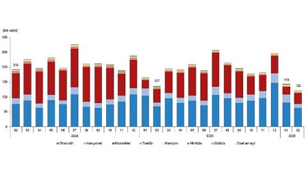 Motorlu Kara Taşıtları, Şubat 2026