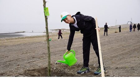 Yeni Yaşam Alanında Çınar Ağaçları Yükselecek