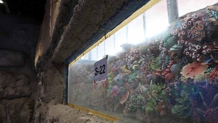 30 farklı akvaryum eşsiz bir gezi yaşatacak