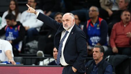 Anadolu Efes, Partizan mesaisinde