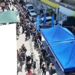 Başkan Çerçioğlu Binlerce Fideyi Söke’de Vatandaşlar ile Buluşturdu