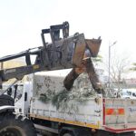 Başkan Çerçioğlu’ndan Aydın’ın Yeşil Dokusunu Geleceğe Taşıyan Çalışma
