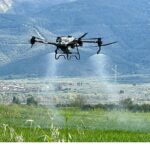 Başkan Çerçioğlu’nun Tarıma ve Üreticilere Destekleri Sürüyor: Tarlalar Drone ile Ücretsiz Gübreleniyor