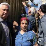 Bergama’dan Üretime Büyük Destek: Ahlat Ağaçları Aşılandı, Binlerce Fidan Dağıtıldı
