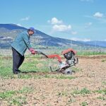 Büyükşehir ipek böceği yetiştiriciliğini yaygınlaştırıyor