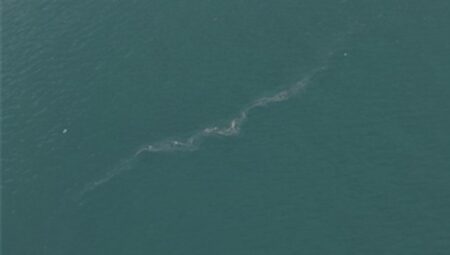 İzmir Körfezi’nde 13. dış kaynaklı kirlilik vakası