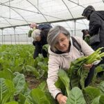 İzmit Saygınlar Kulübü 1 yaşında
