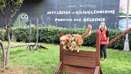 Kadıköy Belediyesi 4 Sertifikalı Arama Köpeği Olan Tek İlçe