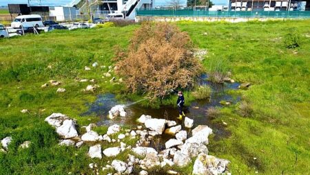 Torbalı Belediyesi’nden Halk Sağlığı İçin Seferberlik: Torbalı’da 12 Ay İlaçlama