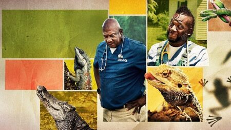 ‘Veteriner Dostlar Özel’,   25 Nisan Cumartesi 20.00 ve 21.00’de İki Bölüm Art Arda   National Geographic WILD Ekranlarında İzleyicilerle Buluşuyor!