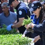 Büyükşehir’den Salihlili Üreticilere 34 Bin Sebze Fidesi