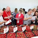 Çilek tadında festival, milyonu aşkın misafir ağırladı