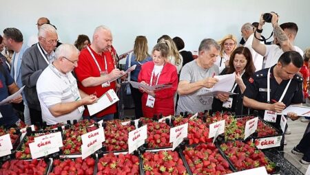 Çilek tadında festival, milyonu aşkın misafir ağırladı