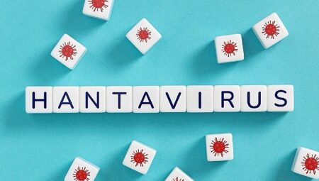 Hantavirüsün insandan insana yayılım riski düşük