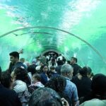 Keçiören’de Bayram Coşkusu Dolu Dolu Yaşandı