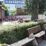 Bayrampaşa’da sineklere karşı yoğun mesai