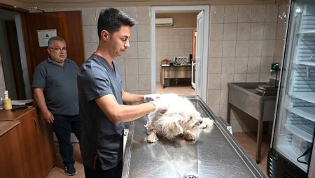 Kemer Belediyesi “Can dostlarına” sahip çıkıyor