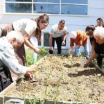 Nilüfer’de yaşlılar fideleri toprakla buluşturdu