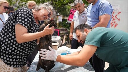 Sokak hayvanlarına yerinde sağlık desteği sürüyor