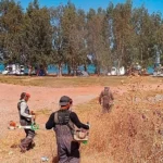 Didim Belediyesi, Kent Genelindeki Bakım Çalışmalarını Aralıksız Sürdürüyor