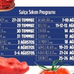 Efes Selçuk’ta kışlık salça hazırlıkları başlıyor