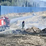 İzmir İtfaiyesi bukalemunu hayata döndürdü