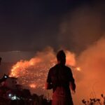 İzmir’in kuzeyinde orman yangını alarmı