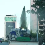 Maltepe’de İlaçlama Çalışması Hız Kesmiyor