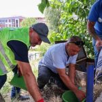 Buca Belediyesi’nden sokak hayvanlarına can suyu