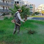Didim Belediyesi kent genelinde ot biçme ve budama çalışmalarını sürdürüyor