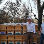 Yangında Kovanları Zarar Gören Arıcıya Büyükşehir’den Destek