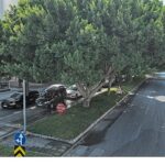 Büyükşehir’in hedefi daha az su ile daha fazla yeşil alan