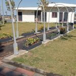 Didim Belediyesi’nden Yeşil Hamle