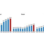 Uluslararası Hizmet Ticareti İstatistikleri, 2025