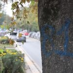 Eyüpsultan-Bayrampaşa Tramvayı’nda Çalışmalar Hızlandı