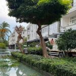 Kemer Liman Caddesi’nde kış öncesi bakım çalışması