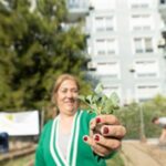 Mahalle Bostanlarında kışlık sebzeler toprakla buluşuyor